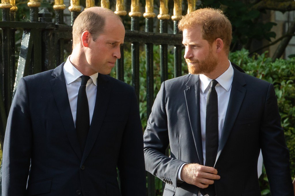 ‘I’ve NEVER Been Through Something Like This In My Life!’- Prince William Speaks About Family Rift With Prince Harry