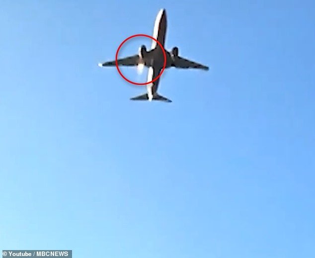 Bird Was Seen Stuck in WING of Doomed South Korean Airline As Control Tower WARNED Pilot Before Plane’s Emergency Landing