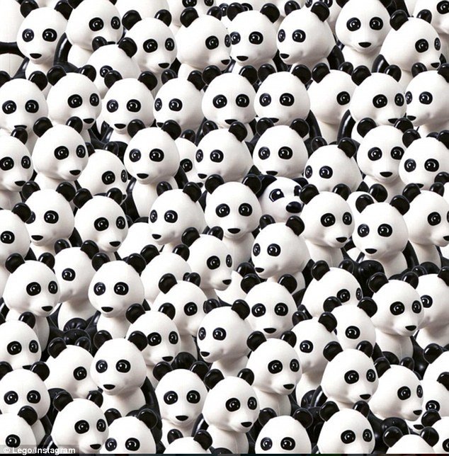 Can You Spot the Hidden Dog In This Sea of Pandas?