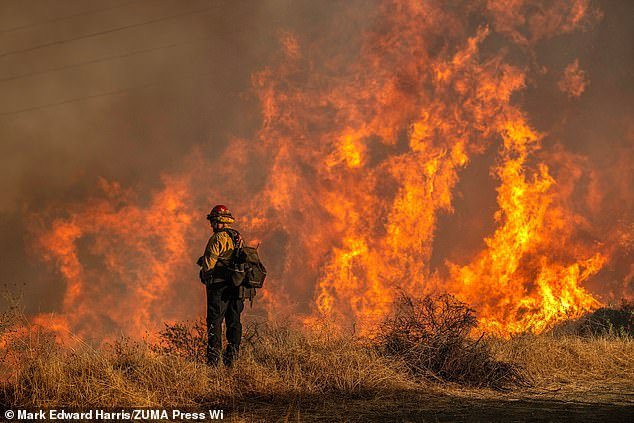 ‘Disgustingly Shameful!’- Meghan Markle & Prince Harry Labeled ‘Disaster Tourists’ For Turning LA Wildfire Food Bank Into Photo Op