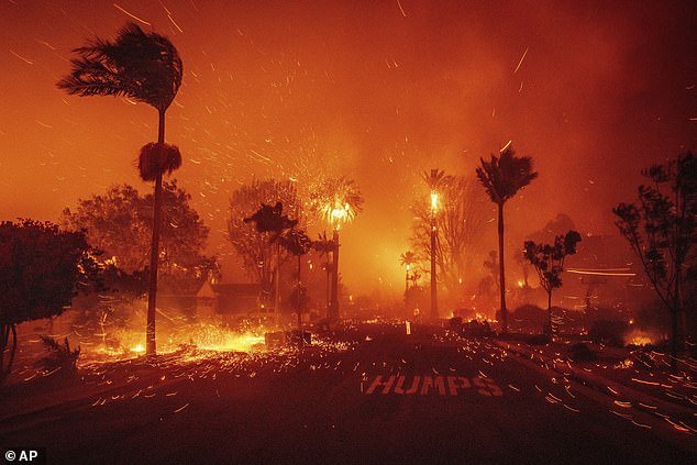 Oscars 2025 in Jeopardy of Being CANCELLED For the First Time in 96 Years Amid Catastrophic LA fires