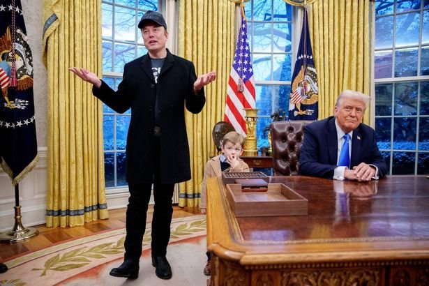 Trump Agitated as He is Upstaged by Elon Musk’s Nose-picking Son in Oval Office