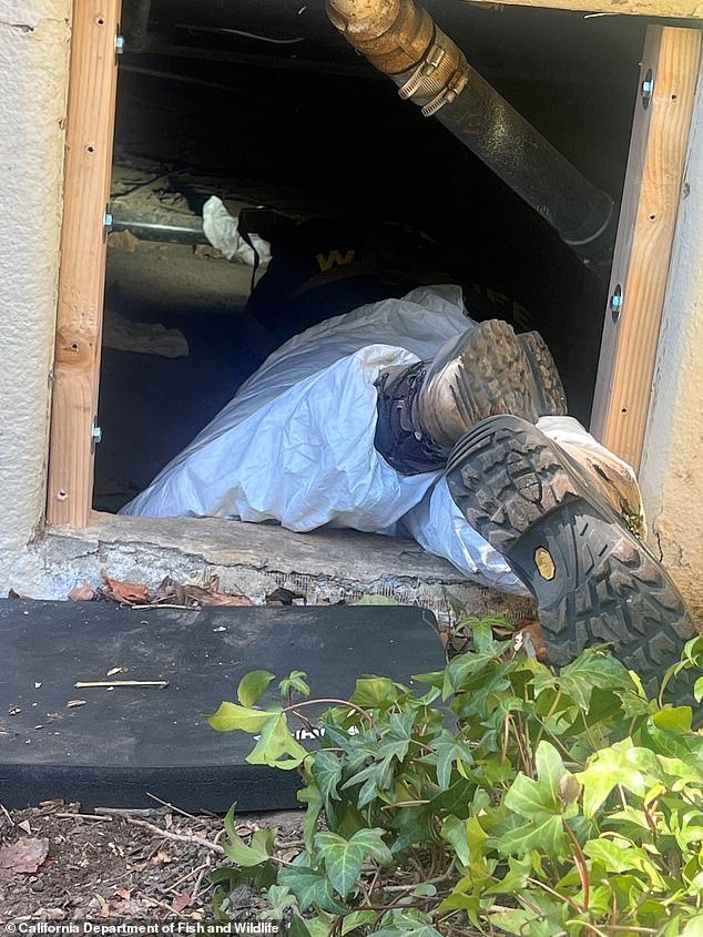 Los Angeles Man Makes Horrifying Discovery Under His House After Eaton Fire