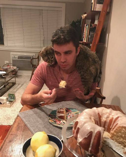 HE WAS THE ONE WHO WANTED A CAT—NOW HE CAN’T TAKE A BITE WITHOUT HER ON HIS SHOULDERS