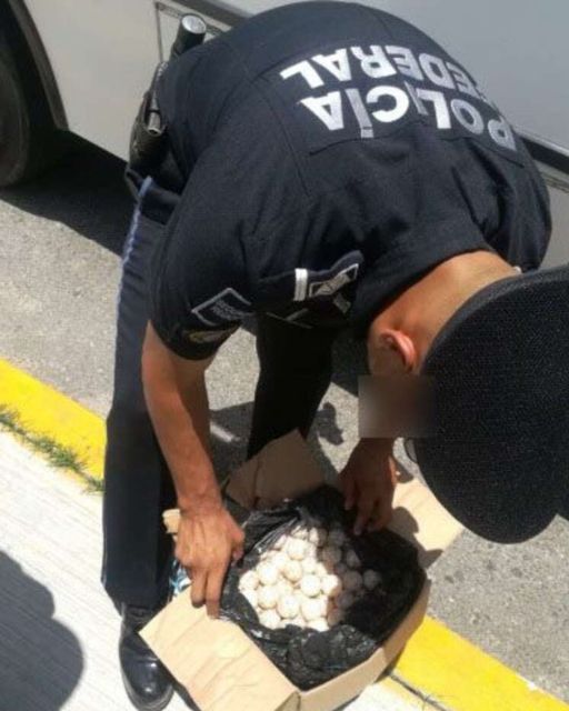 WE WERE JUST PATROLLING ON THE STREET—ONLY TO FIND A RANDOM BOX FULL OF EGGS