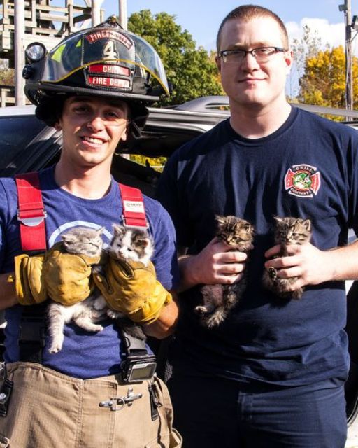 THEY WENT IN TO RESCUE—AND WALKED OUT WITH A FAMILY OF KITTENS THEY NEVER EXPECTED TO KEEP