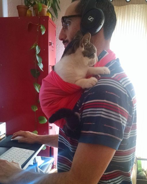 MY HUSBAND CAN’T DO A SINGLE THING WITHOUT OUR CAT IN HIS ARMS—AND I FINALLY UNDERSTOOD WHY