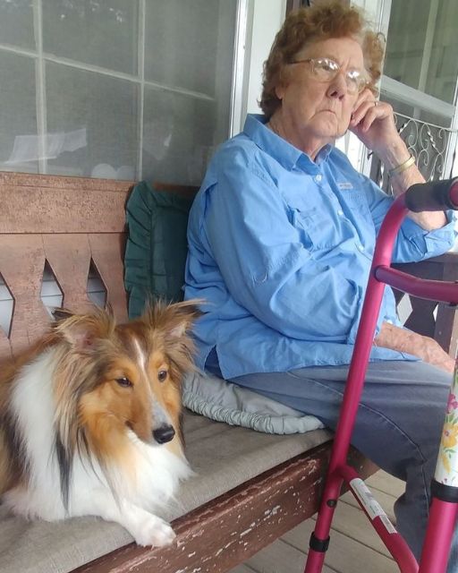 My Grumpy Grandma Said She Didn’t Like Dogs—but This One Never Left Her Side