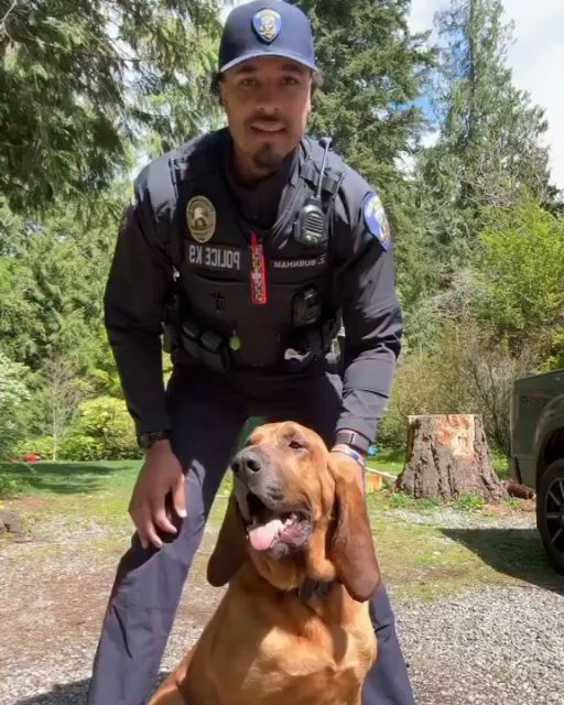 The K9 Officer Smiled For A Photo—But His Dog Led Him Somewhere No One Expected