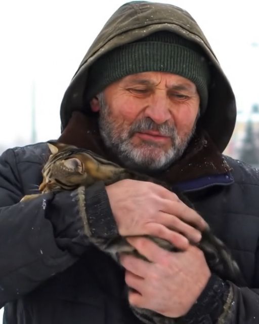 A Stranger Begged Me to Take His Cat – A Month Later, I Found a Note That Changed Everything