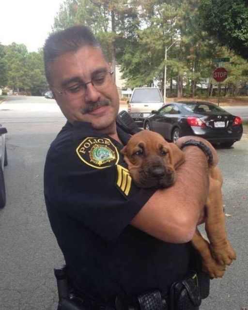He Showed Up To Arrest My Neighbor—but Then He Picked Up The Puppy