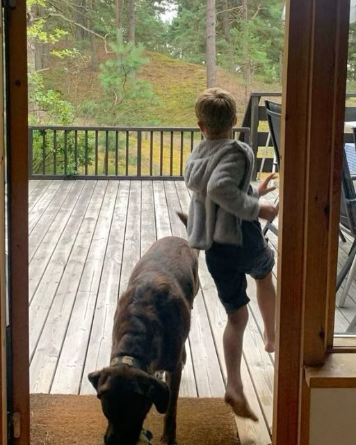 My Son Ran Into The Woods—And The Dog Followed With Something He Wasn’t Supposed To Have