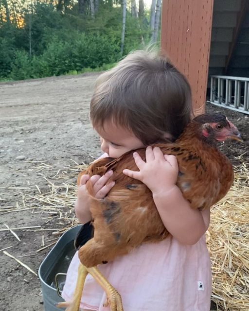 My Daughter Kept Stealing the Neighbor’s Chicken—And I Finally Found Out Why