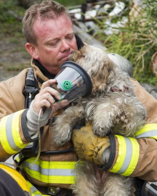 I Found The Dog—But Then I Heard Something Else Inside