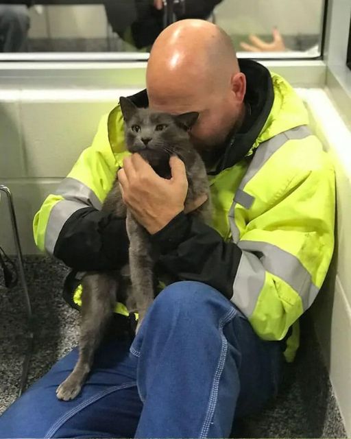 I Thought He’d Never Forgive Me For Losing Her—But Then He Showed Up At The Shelter