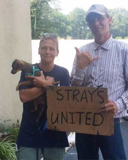 She Saw A Homeless Man Pull A Cart Of Dogs With His Bike—Then She Stopped And Changed His Life Forever
