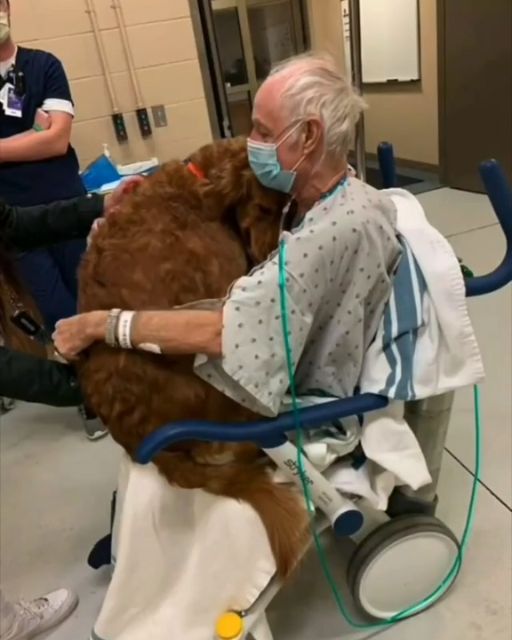 He Kept Asking For “Murphy”—But None Of Us Knew Who That Was
