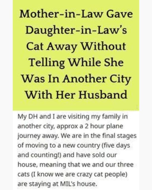 My Mother-In-Law Gave Away My Cat While We Were Out Of Town—And Didn’t Even Tell Us