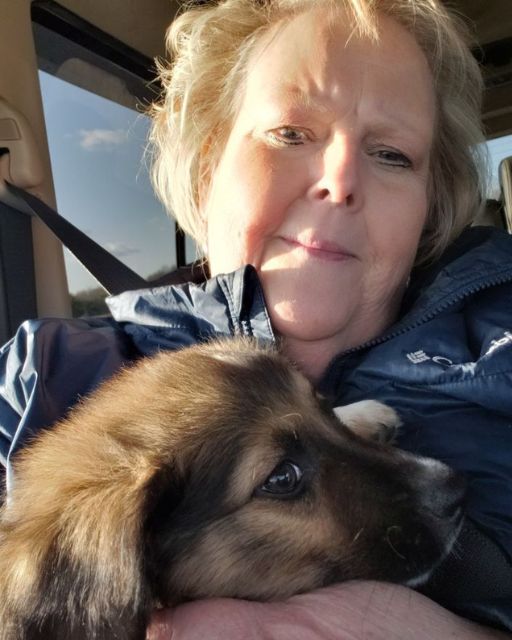 I Was Driving Home With My New Puppy—And Then I Got A Call Saying He Didn’t Belong To Me