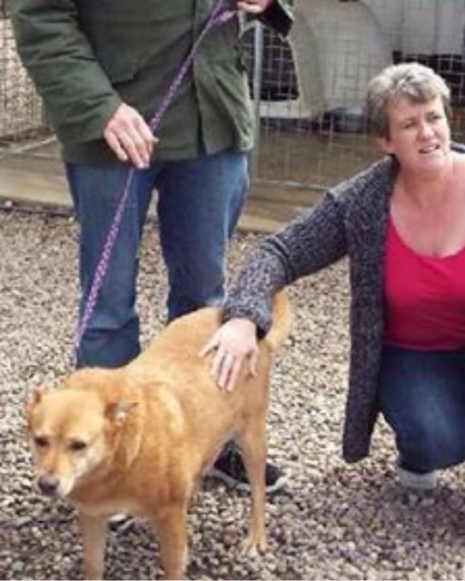 We Found Our Lost Dog In A Random Shelter—But The Worker Pulled Us Aside Before We Could Leave