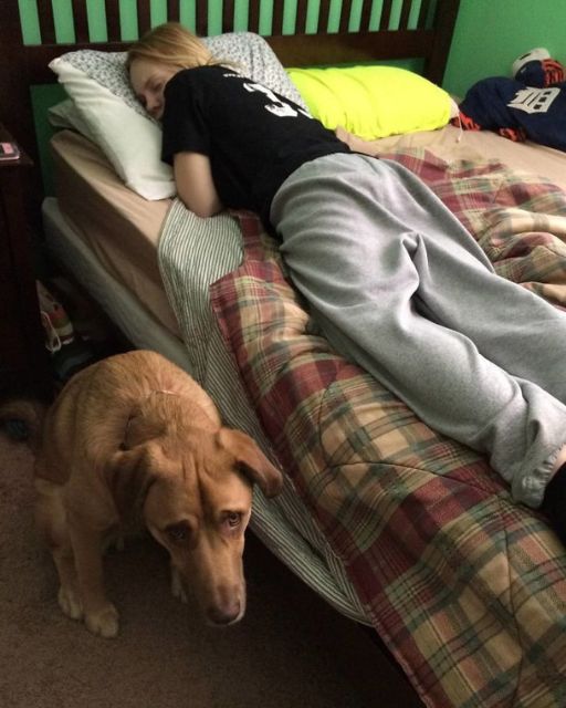 I Woke Up To Find My Dog Staring At Me—And Then I Saw What Was Under The Bed