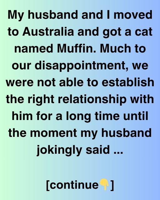 How Muffin Taught Us More Than We Taught Him