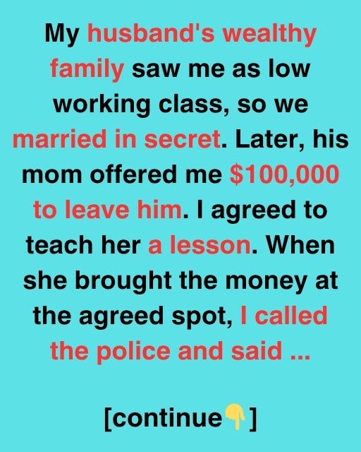 She Offered Me $100,000 To Leave Her Son — So I Taught Her A Lesson