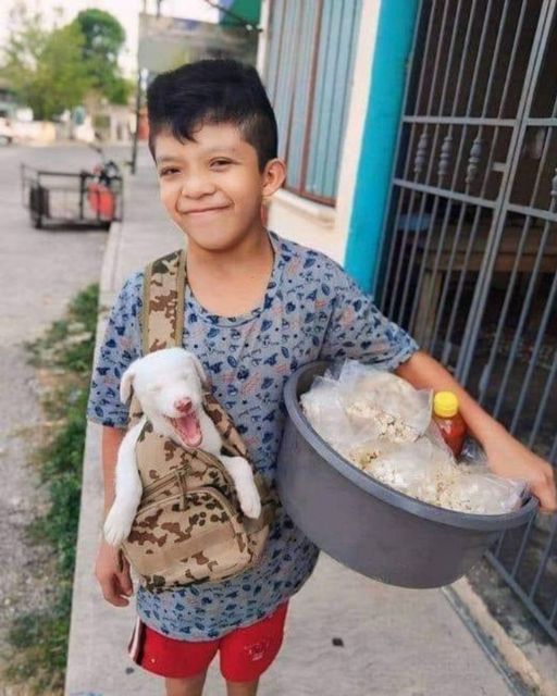 My Nephew Was Just Selling Snacks Door To Door—Until I Saw What The Dog Had In Its Mouth