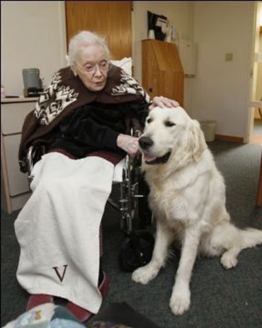 My Great-Aunt Never Owned A Pet—But This Dog Keeps Visiting Her And She Calls Him “Colonel”