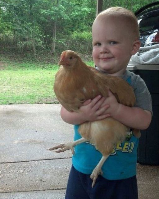 My Nephew Brought Home A “School Chicken”—But It Lays Eggs With Handwritten Notes Inside