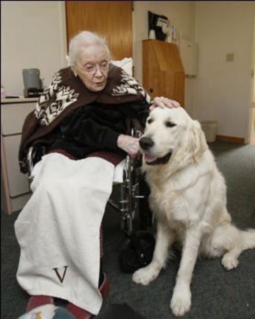 My Great-Aunt Never Owned a Pet—But This Dog Keeps Visiting Her and She Calls Him “Colonel”