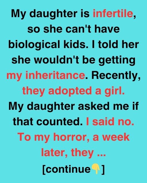 The Girl Who Rewrote My Will