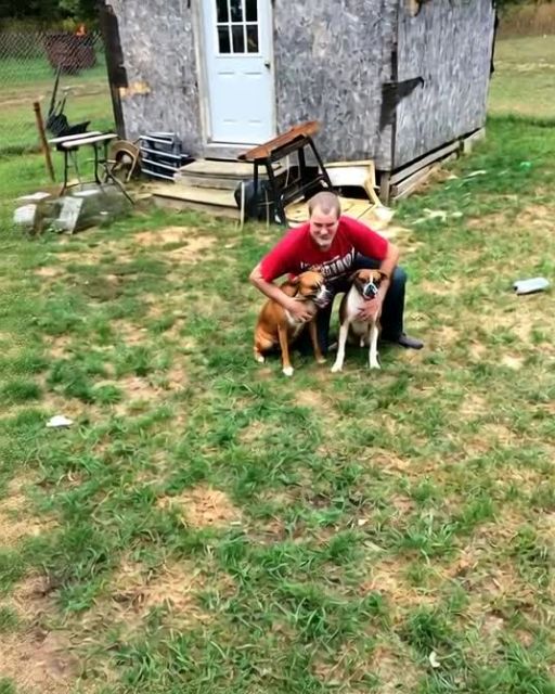 MY UNCLE SAID HE BUILT THE SHED FOR HIS DOGS—BUT I SAW WHAT WAS UNDER THE FLOORBOARDS