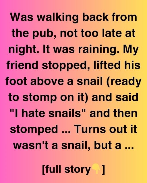 The Night Of The Not-Snail