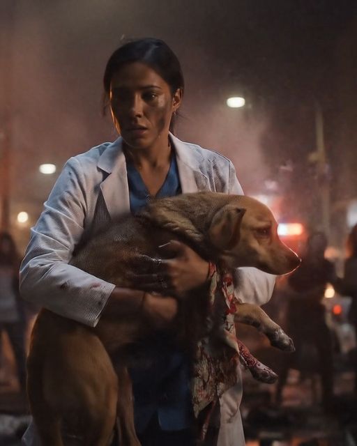 She Was Treating Riot Victims All Week—So Why Did She Vanish After Saving A Dog
