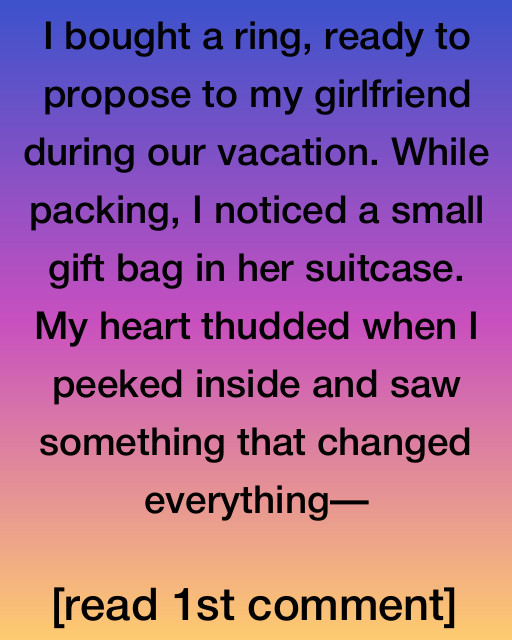 The Surprise in the Suitcase