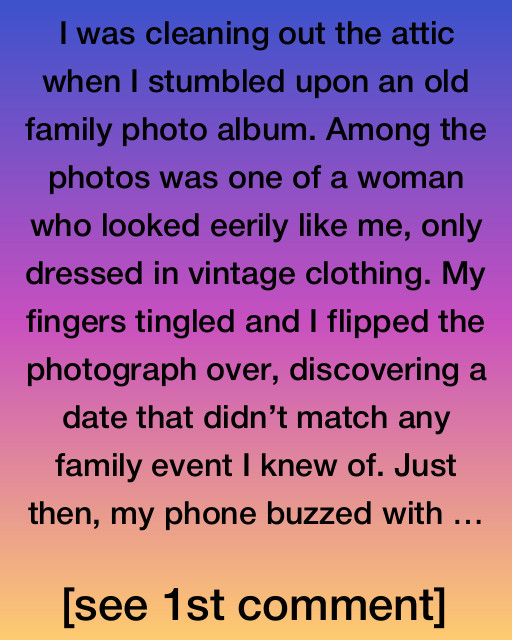 The Vintage Discovery
