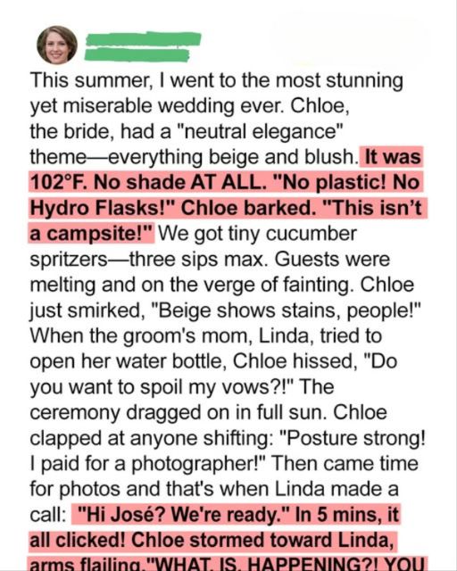 The Wedding That Turned Into a Circus