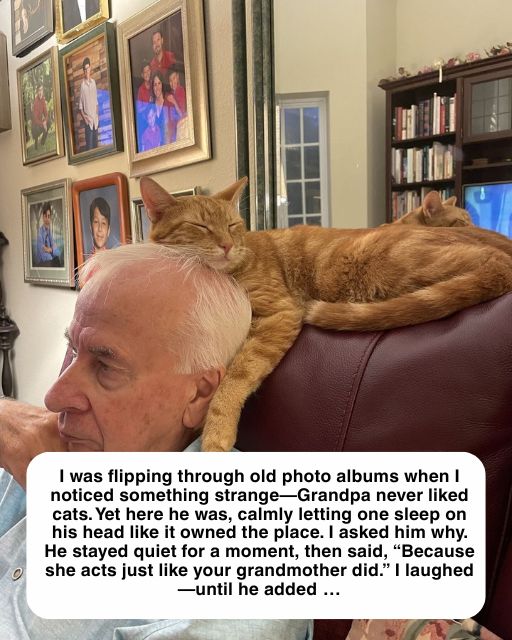THE CAT ON HIS HEAD: A STORY OF REMEMBRANCE AND SECRETS