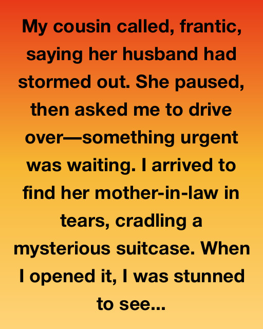 The Secret of the Mysterious Suitcase