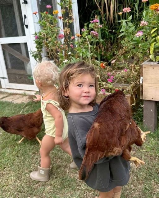 The Hen That Dug Up My Past