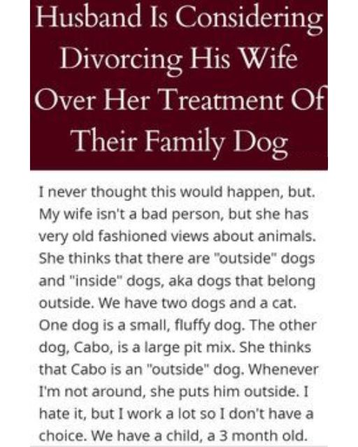 My Wife Treats One Of Our Dogs Like Trash—And I’m Starting To Resent Her For It