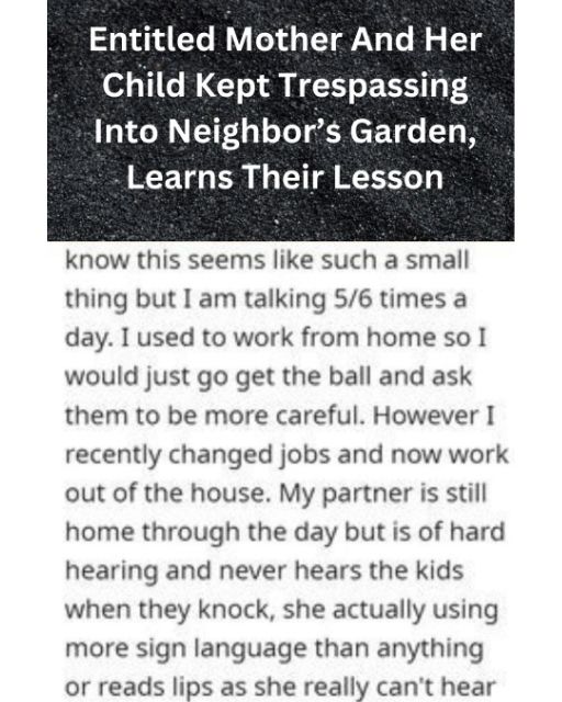 My Neighbor’s Kid Kept Losing His Ball in Our Yard—But When I Stopped Answering, She Lost It