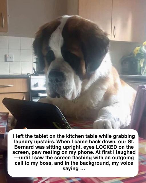 The Day My Dog Called My Boss
