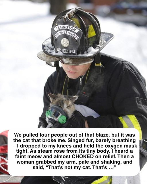 The Cat That Broke Me