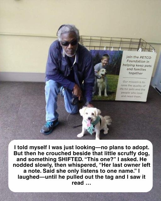 Her Last Owner Left a Note