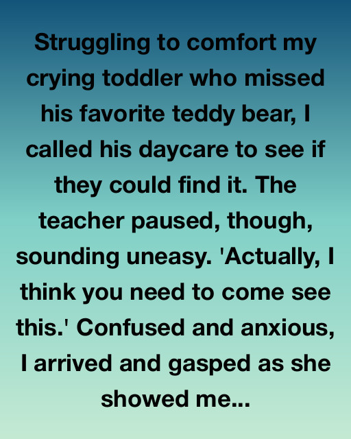 The Mystery of the Missing Teddy Bear