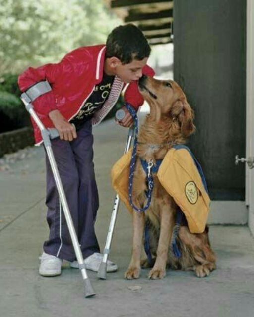 The Dog That Saved My Life