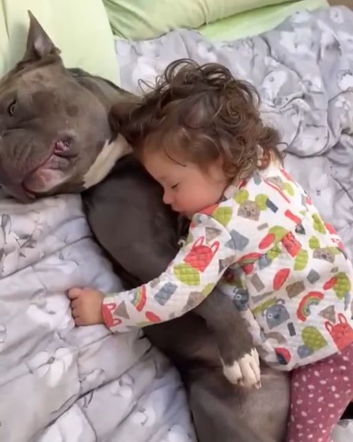 The Dog That Wouldn’t Let Go