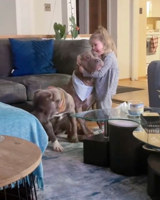 The Dog That Wouldn’t Let Go